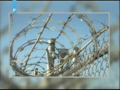 Fema logori u Americi